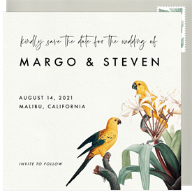 'Vintage Tropics' Wedding Save the Date