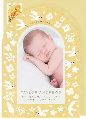 'Pastel Birds' Birth Announcement